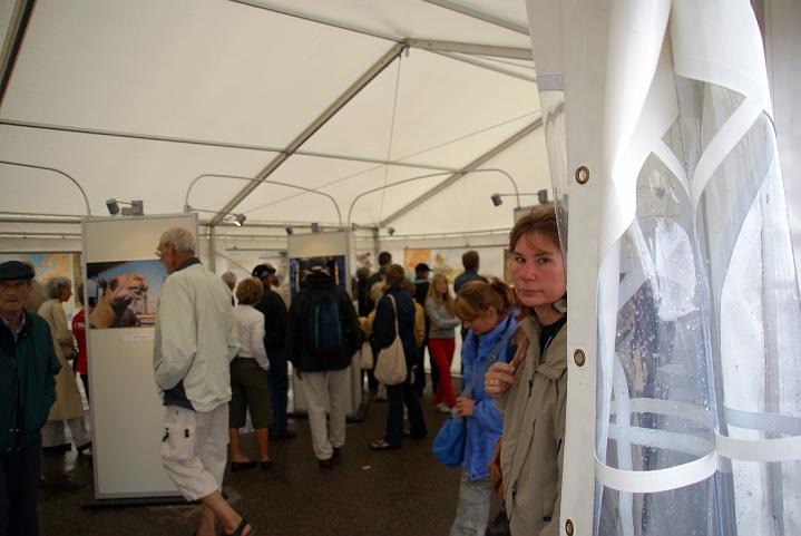 Ostindiefararen (15)